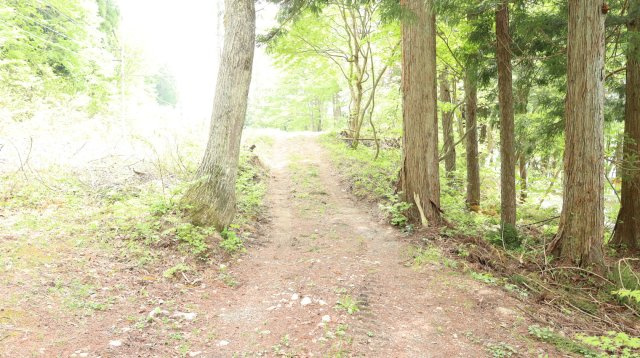 【土地】平青木湖の周辺