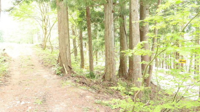 【土地】平青木湖の周辺