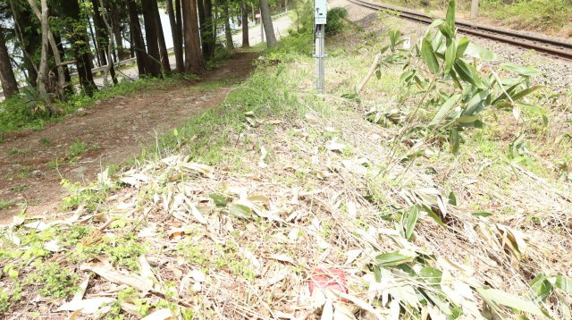 【土地】平青木湖の周辺