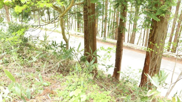 【土地】平青木湖の周辺