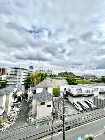 メドウラークの展望