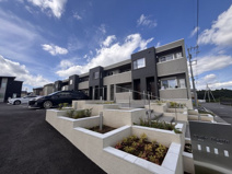 etoile filante(ｴﾄﾜｰﾙ･ﾌｨﾗﾝﾄ)の画像