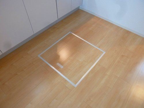 ポラリスⅢのその他