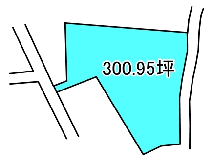 大生院　300.95坪の区画図