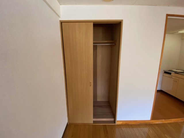 レディースマンションプリンセスの収納