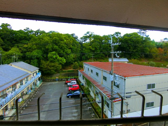 レディースマンションプリンセスの展望