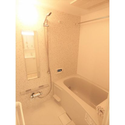 Ｌａ　Ｐａｉｘ　Ｓｋｙｔｒｅｅ　ﾗﾍﾟｽｶｲﾂﾘｰの浴室