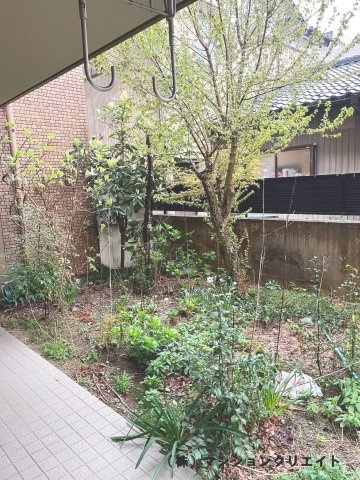 アパガーデンコート城東の庭|13.25坪（北側と合わせて）の専用庭付きです