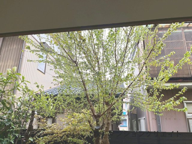 アパガーデンコート城東の庭|木が隣家からの目隠しになりますね