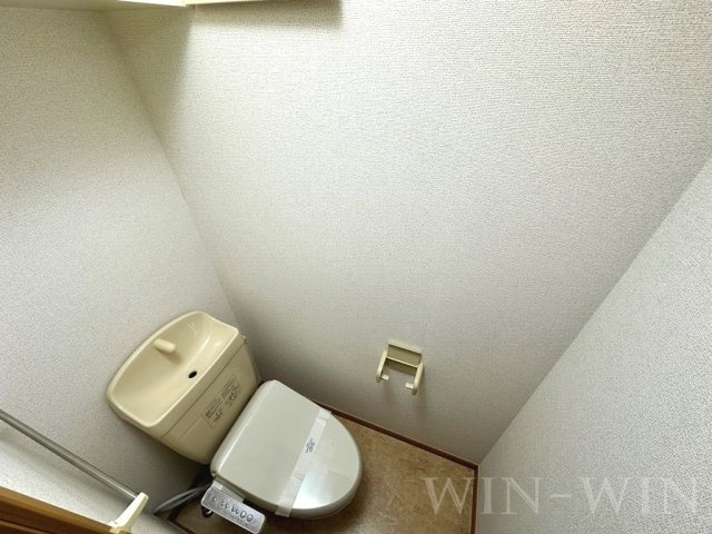 カームリーヒルのトイレ