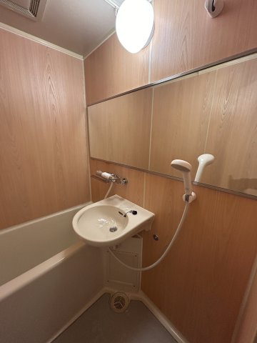 シャトレ王子の洗面所