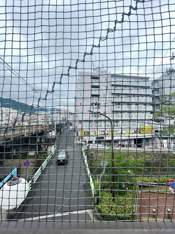 シャトレ王子の展望