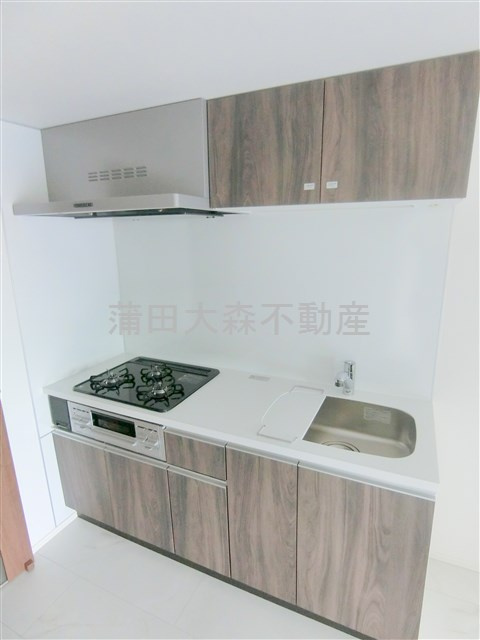 ハーモニーレジデンス蒲田アートヴィラのキッチン|3口ガスグリル付システムキッチン