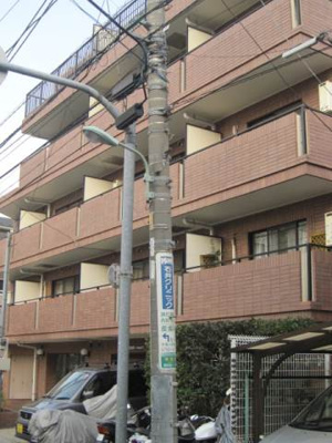 【外観】 | 日神パレス中延