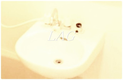 【洗面所】 | Pontd´OrⅡ | 洗面台です。