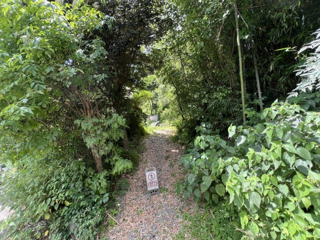 海まで徒歩12分！アウトドアに最適な自然の中の売地の外観