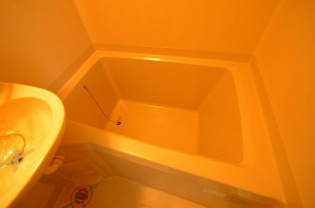 サニーテラス甲子園一番町の浴室