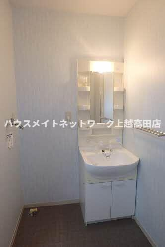 ディアス K&Mの洗面所|シャワー洗面（同室タイプ２０２号室の画像を掲載）