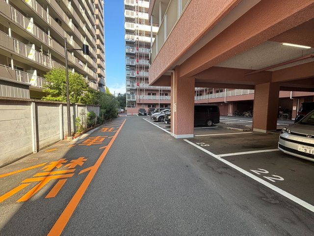 ■撮影日：2025年9月6日