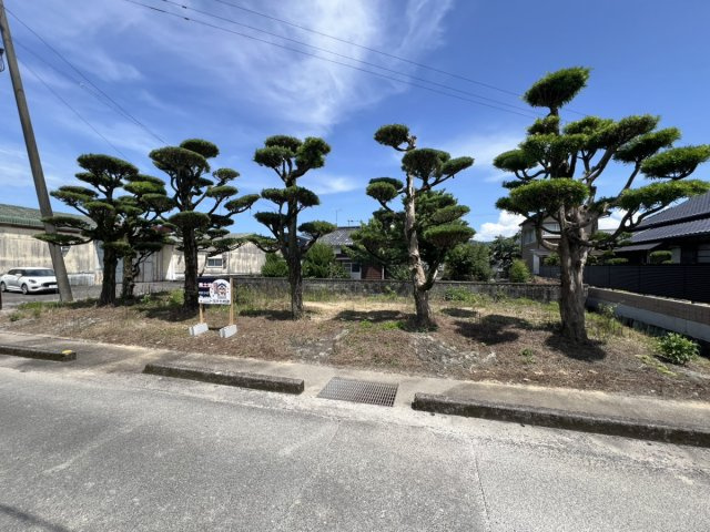 八代市千丁町新牟田の外観