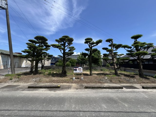 八代市千丁町新牟田