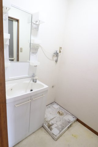 ルシール五番館の洗面所