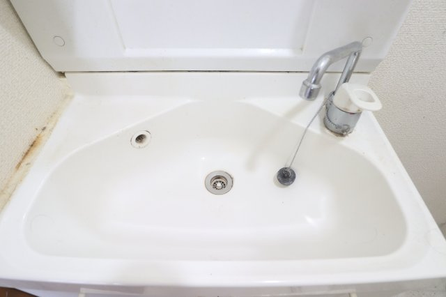 ルシール五番館の洗面所