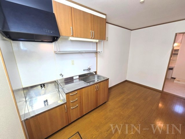 キャプリコーンエス Aのその他