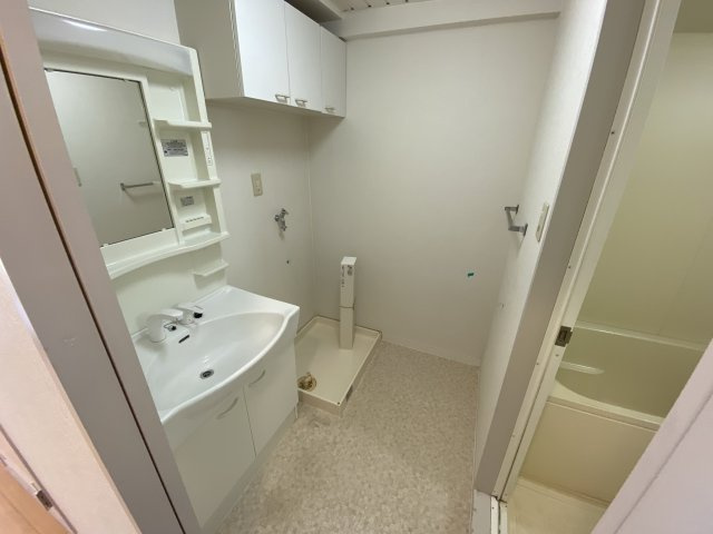 グランメール竹内の洗面所