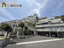 ベルヴィル朝霧の画像