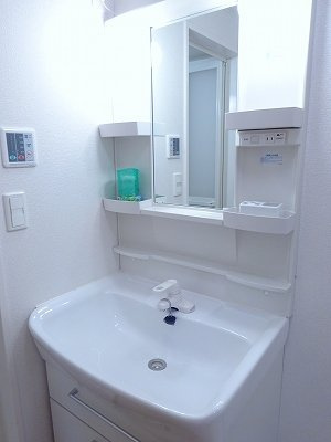 レモングラス　Ｂの洗面所|ゆったりとスペースのある洗面所