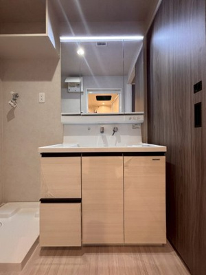 【独立洗面台】 | プラトウズ仲原 | 205号室（Bタイプ）の写真になります。現況優先。