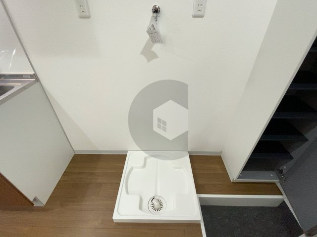 マナティーのその他