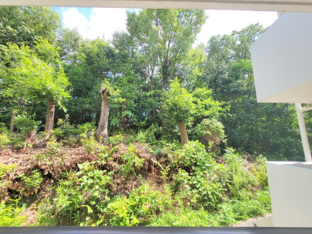 プレジール学園前の展望