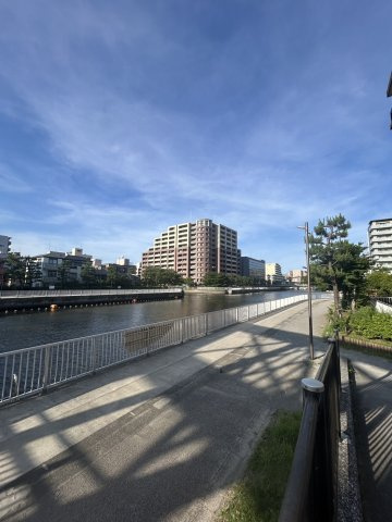 impressshirakawaの展望