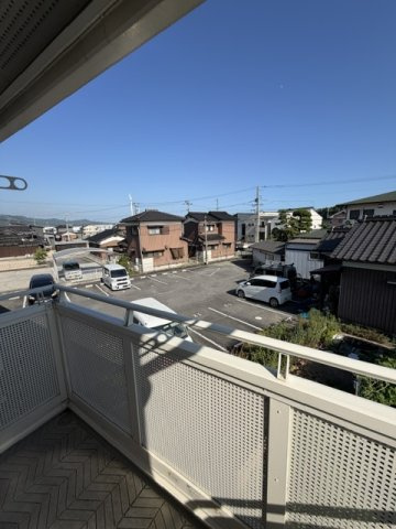 セザールフジイⅡの展望