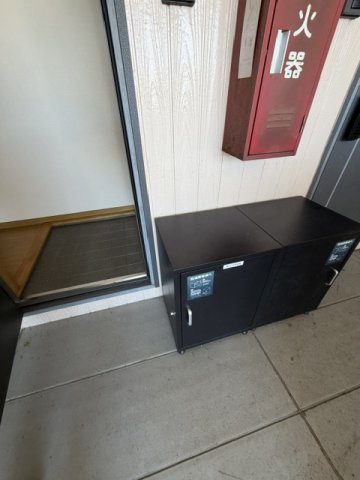 セザールフジイⅡのその他