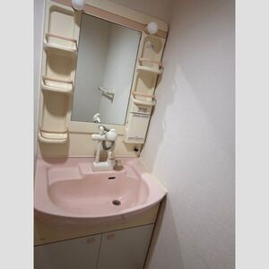 イーストエントピアの洗面所