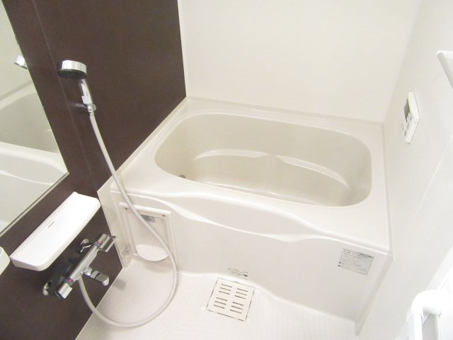 エンブレイス大橋南の浴室