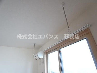 【展望】 | センプレヴェルデ