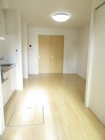 プリムローズ　光のその他