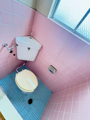 マンション清凉のトイレ