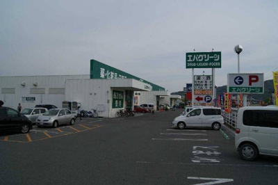 【周辺】 | Ａｉｓａｎｃｅ | エバグリーン岩出中迫店まで1,290ｍ