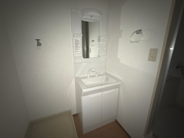 メゾン高須の洗面所