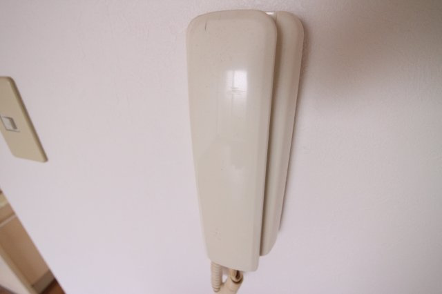 アルカディアのセキュリティ