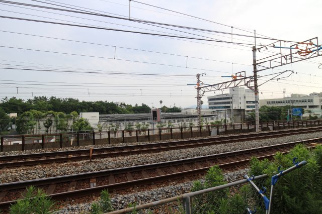 アルカディアの展望