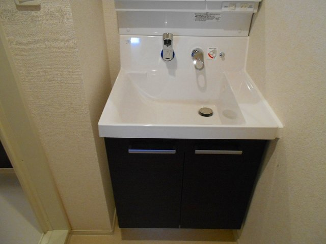 メゾンＳＫ・Ｉの洗面所