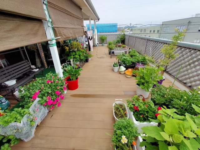 恩田町2丁目のバルコニー|お洗濯にも便利なバルコニー付き