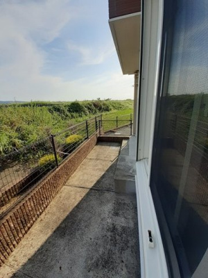 【その他】 | サニーフラット・ペーナ