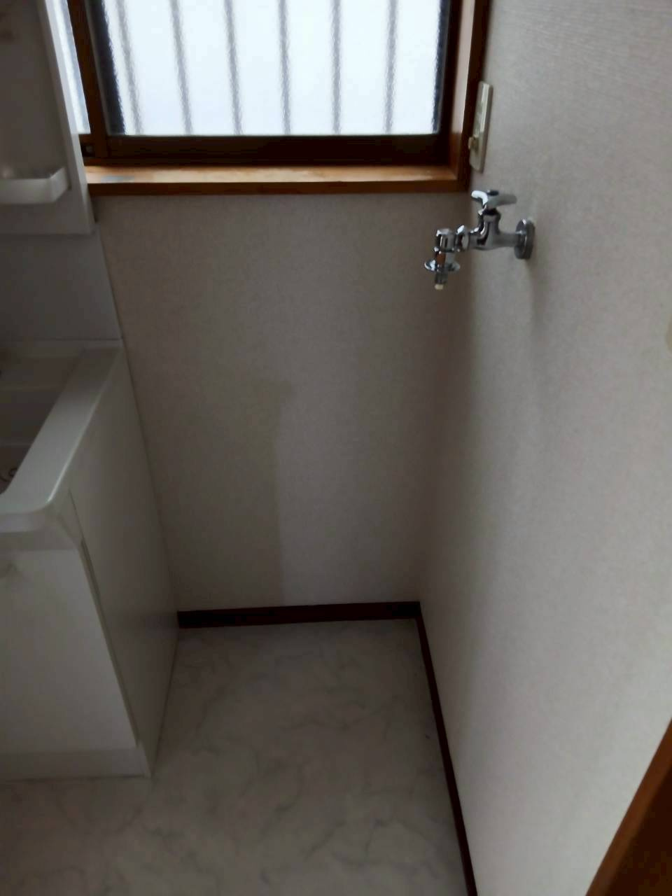 野田1319-119貸家の洗面所|洗濯機置場